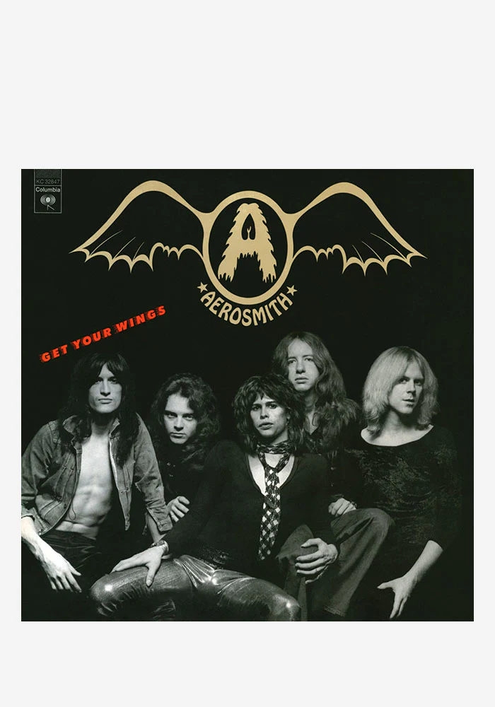 Get Your Wings LP