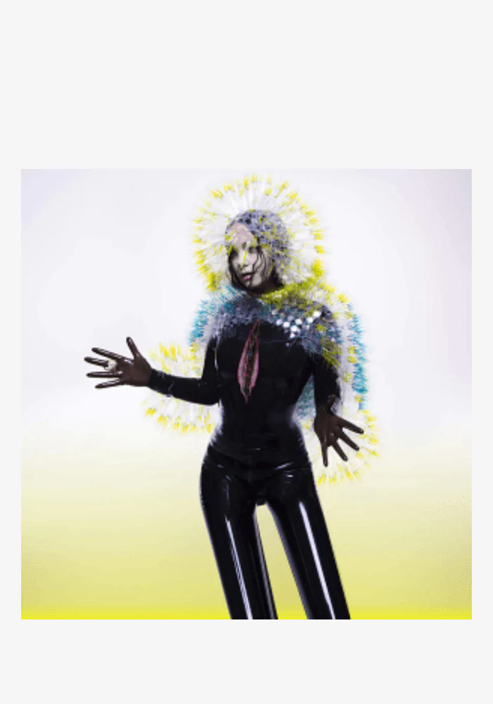 Vulnicura LP