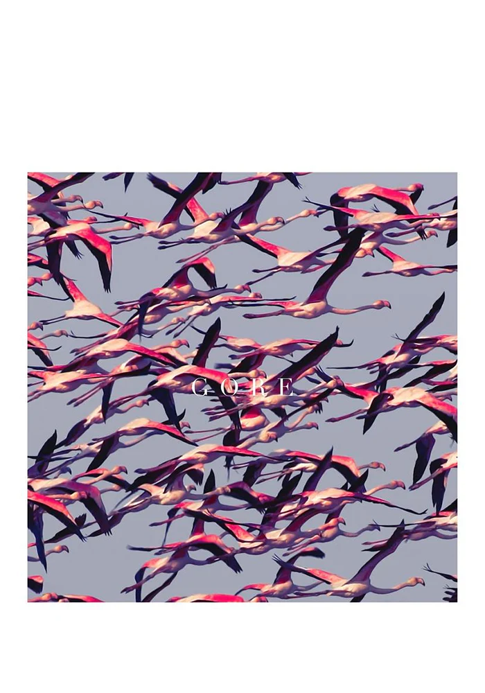 Gore 2LP (Color)