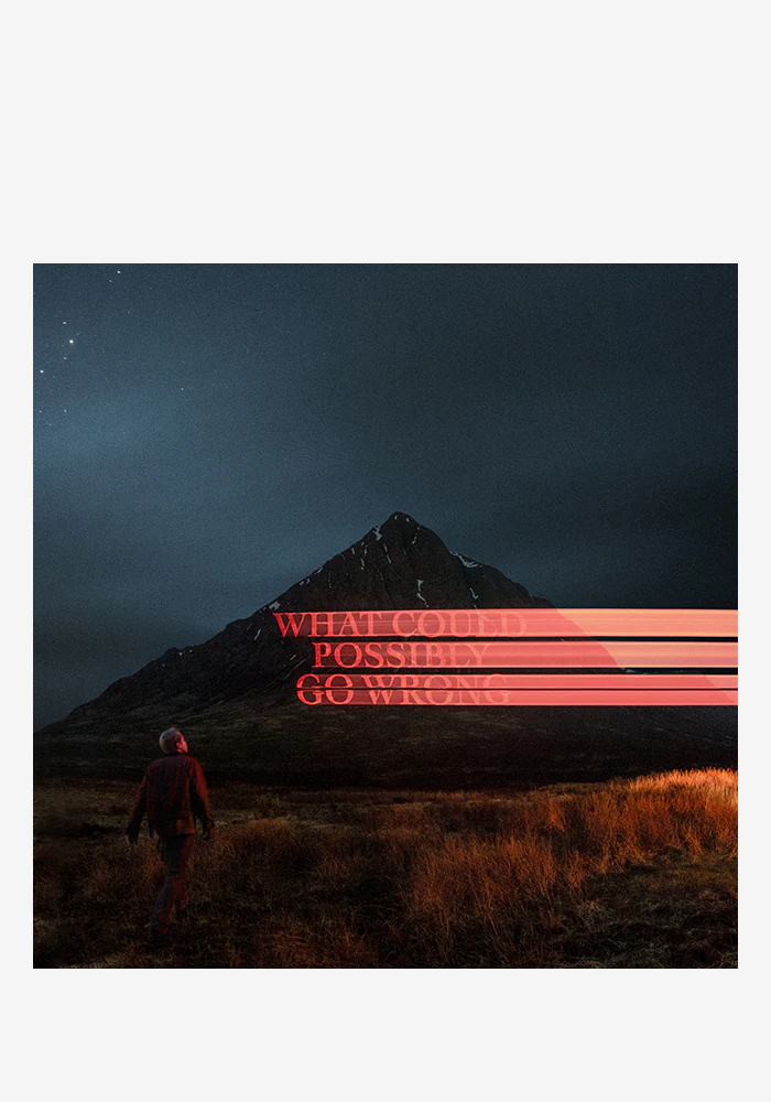 What Could Possibly Go Wrong LP (Color)