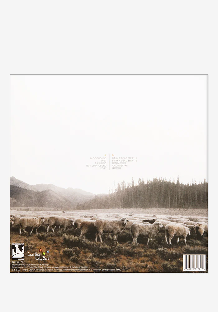 The Albatross Exclusive LP (Seafoam) - Image 3
