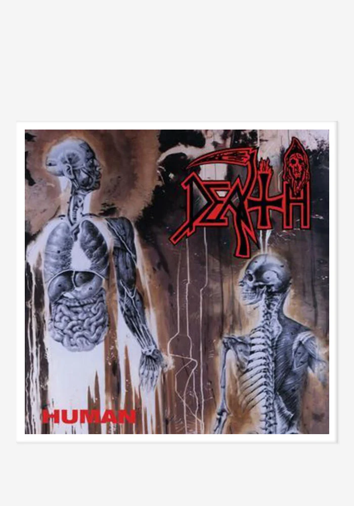 Human LP (Tri-Splatter)