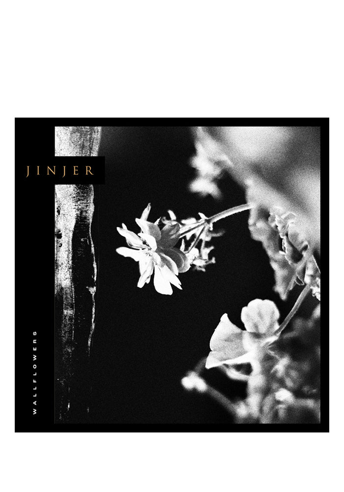 Wallflowers LP (Color)