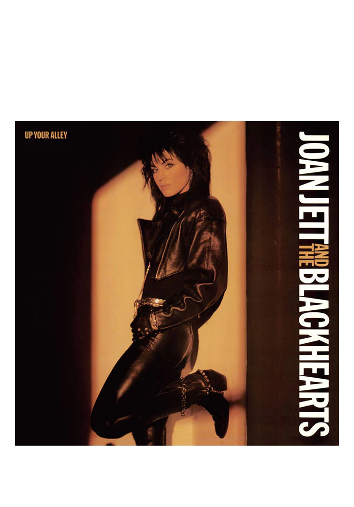 Up Your Alley LP