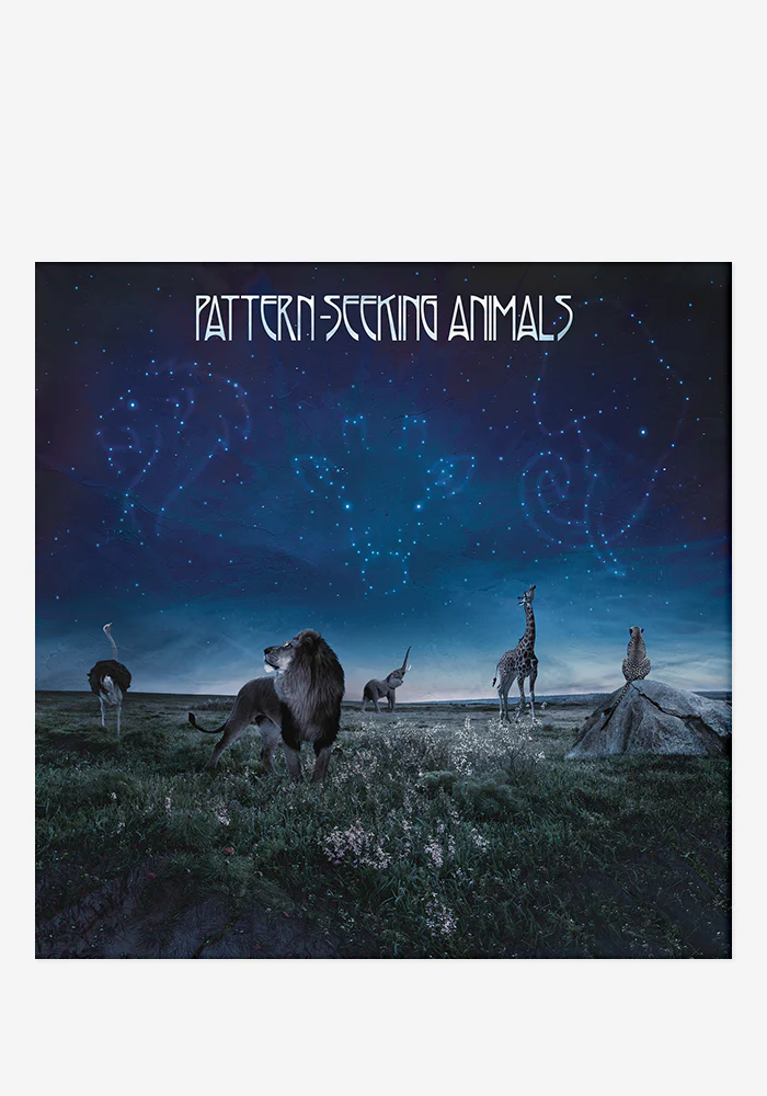 Pattern-Seeking Animals CD With Autographed Art Print