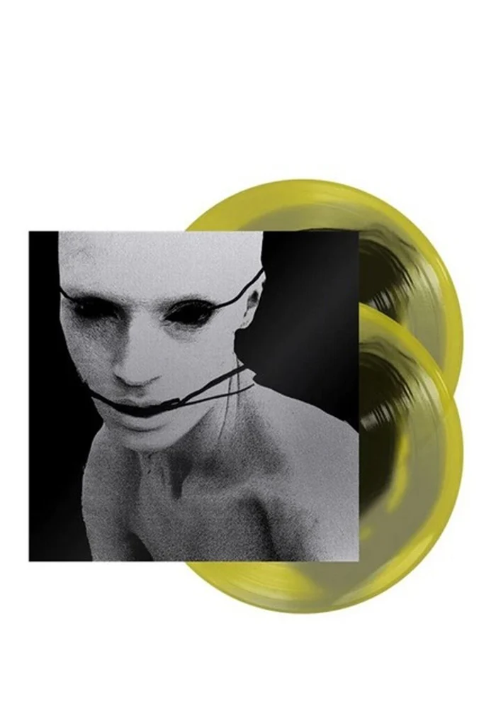I Disagree (More) 2LP (Swirl)