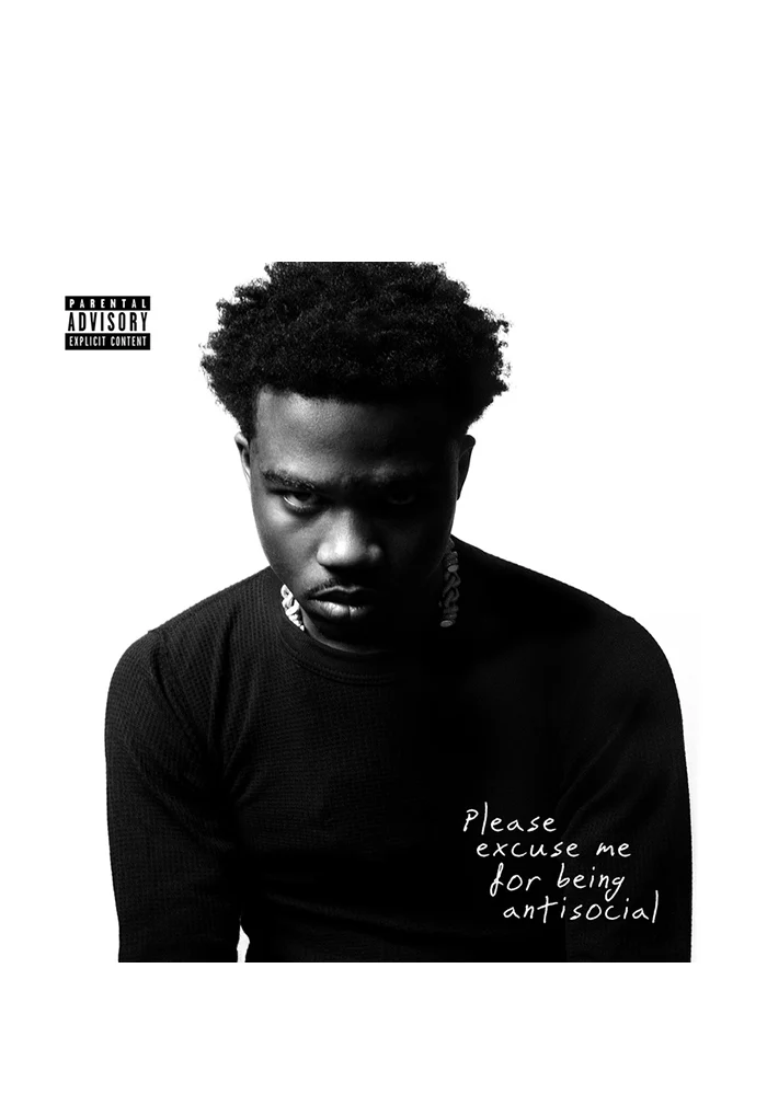 Please Excuse Me For Being Antisocial 2LP