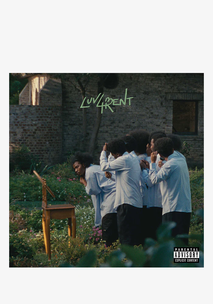 Luv 4 Rent 2LP (Color)