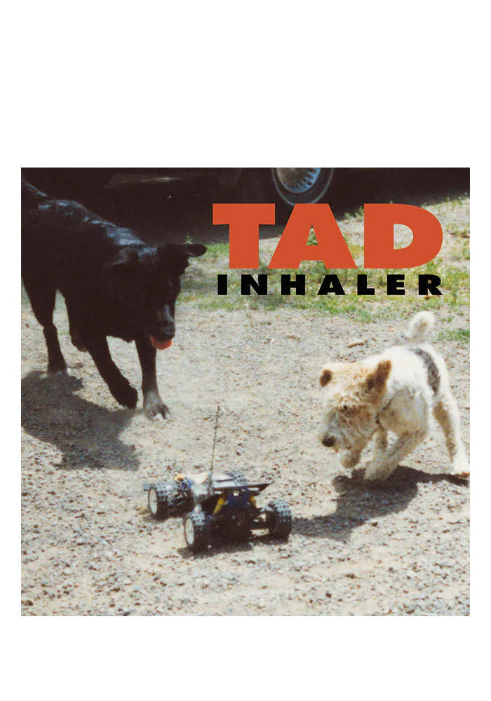 Inhaler LP (Color)