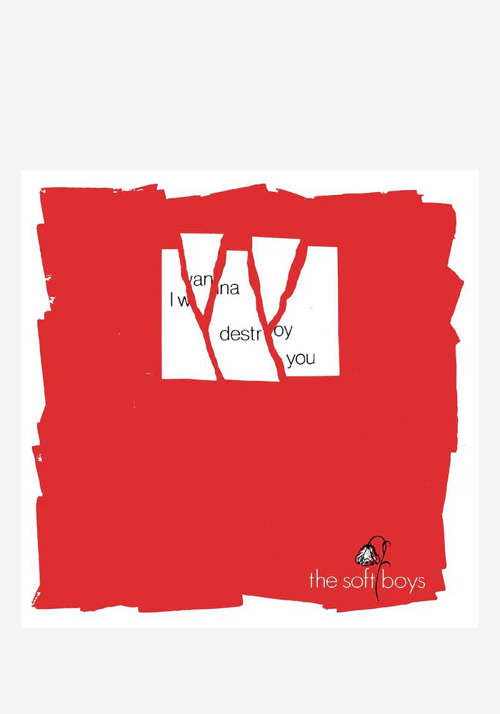 I Wanna Destroy You / Near The Soft Boys 2x7"