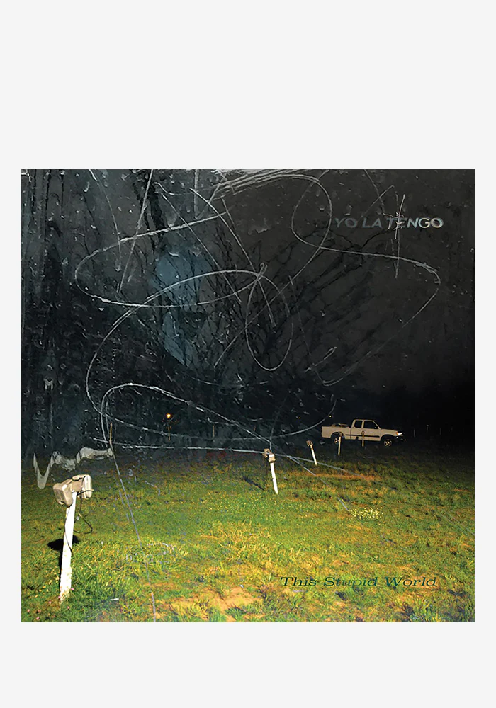 This Stupid World 2LP (Autographed)